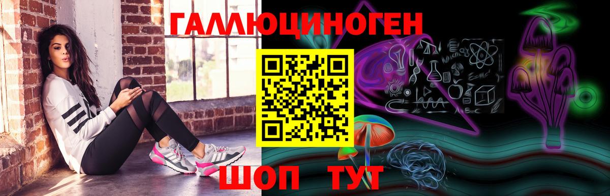 Галлюциногенные грибы Psilocybe  Галлюциногенные грибы Psilocybe  Вход с VPN  Новокубанск 